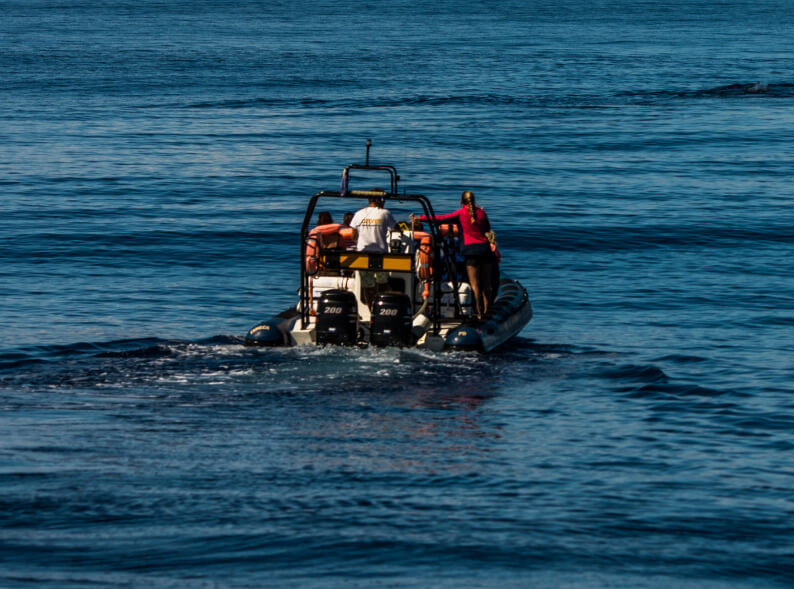 sport fishing